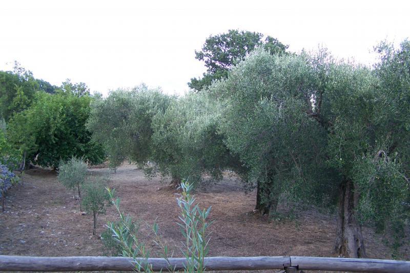 Гостевой дом Agrestis Domus Сан-Джованни-а-Пиро Экстерьер фото
